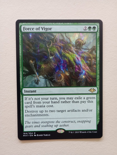 Force vigor mtg - of,