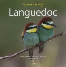 LANGUEDOC, BRIOLA/LARREY