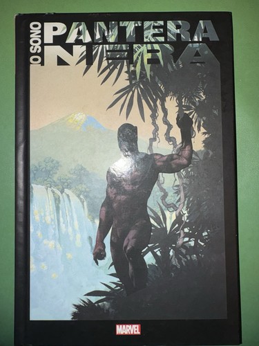 Sono pantera nera - pantera,
