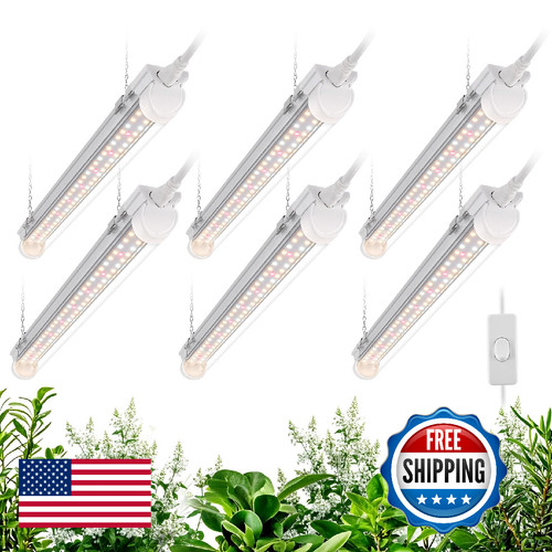 Bstrip luce di - bstrip,