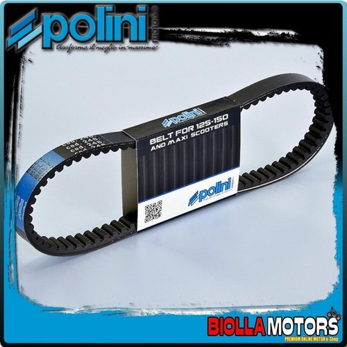 248 119 cinghia variatore - cinghia,