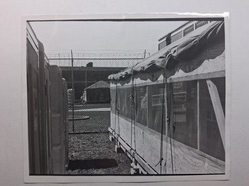 Fotografia stampa epoca - stampa, d'epoca