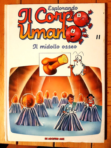 Esplorando corpo umano - corpo, il