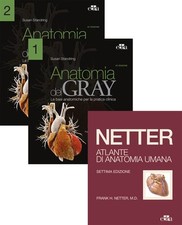 Netter Gray. L'anatomia