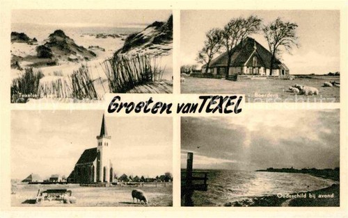 Texel duenen boerderij chiesa - duenen,