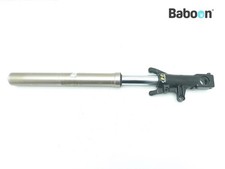 Gamba forcella anteriore