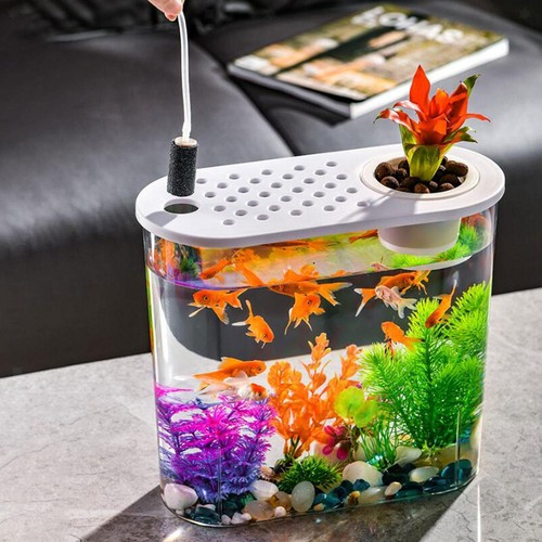 Mini acquario per pesci - per,