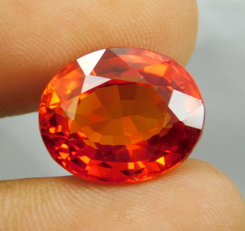 Spinello arancio naturale - spinello,