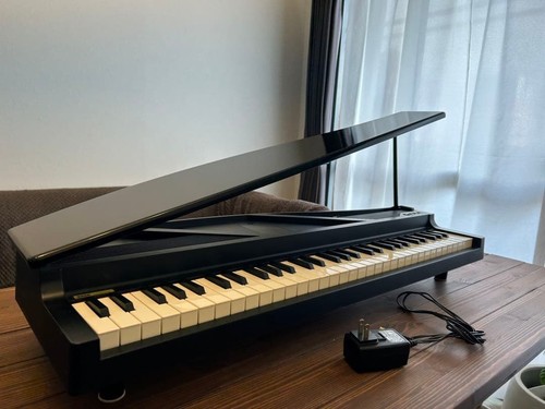 Korg micropiano tasti mini - korg,