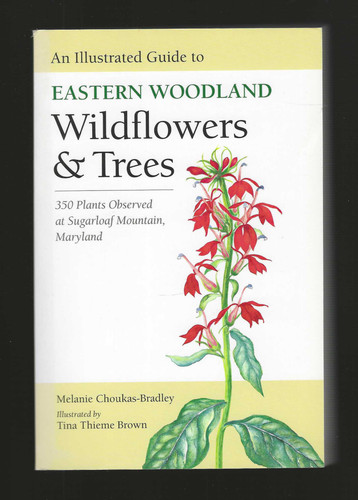 Illus guide eastern - eastern, woodland