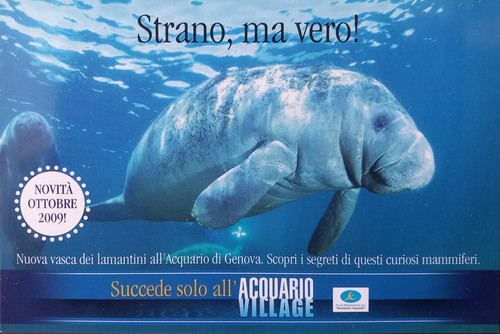 Cartolina acquario genova - cartolina,