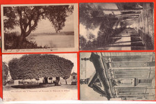 LOTTO 20 CARTOLINE  ALBANO