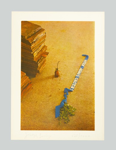 Joseph beuys vitex agnus - joseph,
