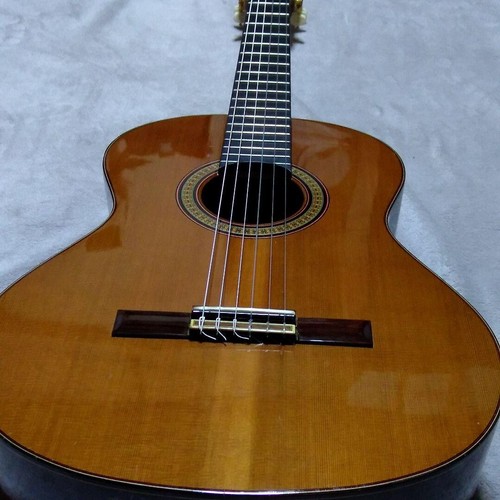 Chitarra acustica classica - acustica,