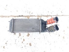 9803900780 RADIATORE