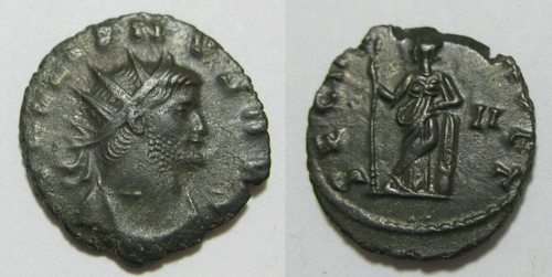 Zaldi2010 galieno galienus - zaldi2010, ,