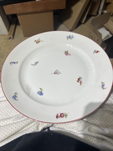 Richard ginori 82plate - richard, n-82plate