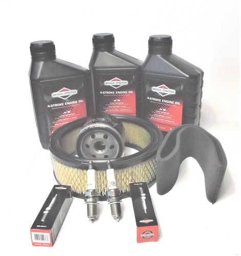 Manutenzione briggs stratton - briggs,