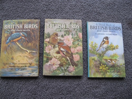 British birds and their nests - british,