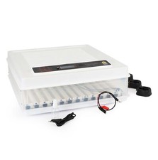 Fudajo Incubatrice automatica