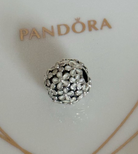 Charm nuovo 100 - %, originale