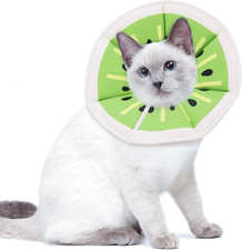 Collare Elisabettiano Gatto