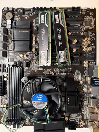 Scheda madre asus - madre,