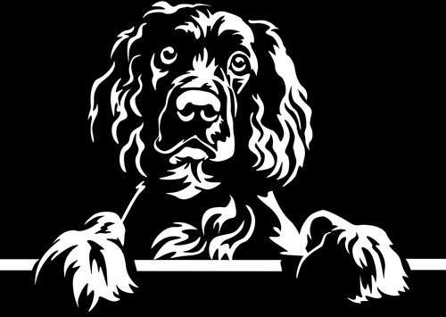 Adesivo springer spaniel - adesivo,