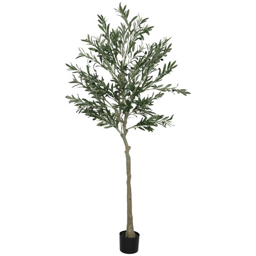 Pianta artificiale olivo - di,