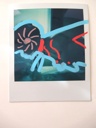 Araki polaroid originale - n., araki: