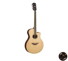 Chitarra acustica elettrica