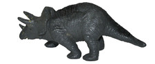 Triceratopo dinosauro in - ,