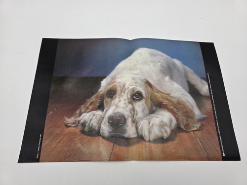 Poster fiera libro libri - poster,