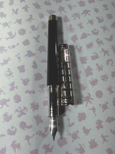 Rara penna stilografica parker - rara,