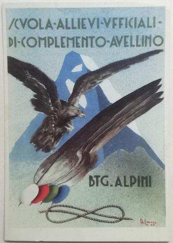 Cartolina battaglione alpini - cartolina,
