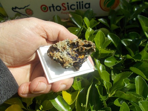 Minerali c26 azzurrite - c26,