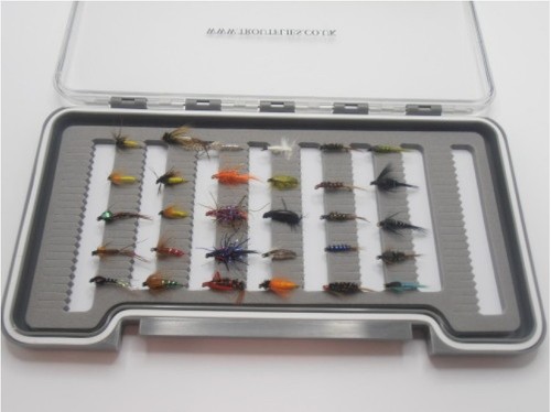 Set scatola ninfe miste - 30,