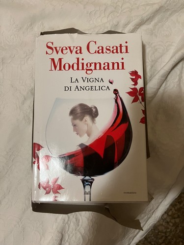 Libro romanzo vigna di - la,