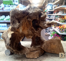 Derwen quercia bogwood 49 - derwen,