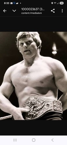 Wrestling superstars bob - wrestling,