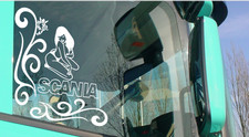 Coppia Adesivi Autocarri