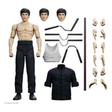 Bruce Lee The Warrior