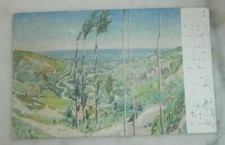 Cartolina d'epoca Serie Predappio N. 14 Viaggiata Teodoro Wolf Ferrari