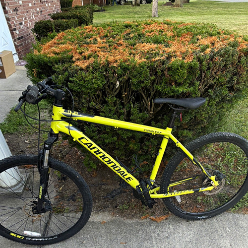 Cannondale catalyst - cannondale,