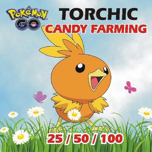 Pokemon torchic candy - pokemon,