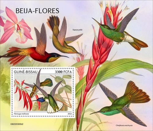 Francobolli colibrì colibri - colibrì,