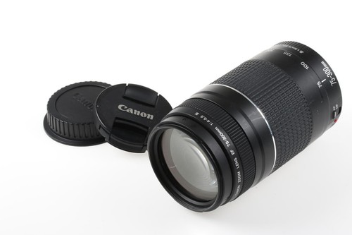Canon 300mm 0 5 6 - ef, 75-300mm