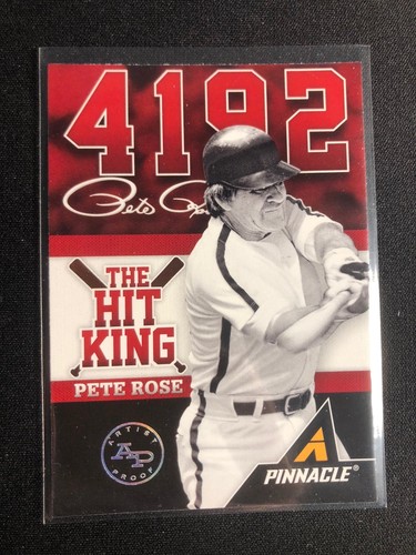 2013 pinnacle hit - 2013,