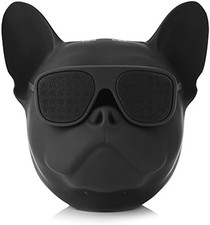 Altoparlante Bluetooth, Mini