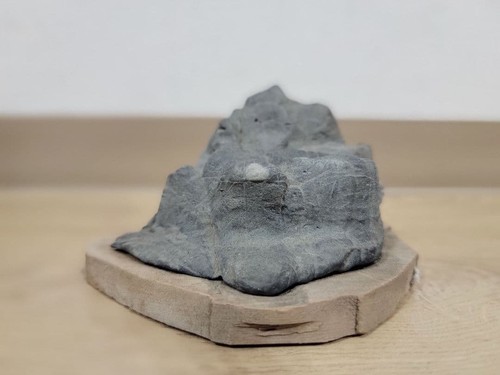Bonsai suiseki bonseki - suiseki,